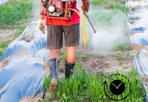 desherbant et le temps qu'il met à agir