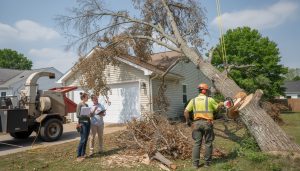 découvrez comment bénéficier du crédit d'impôt pour l'abattage des arbres dangereux, les conditions à remplir et les démarches à suivre pour sécuriser votre propriété tout en réalisant des économies.
